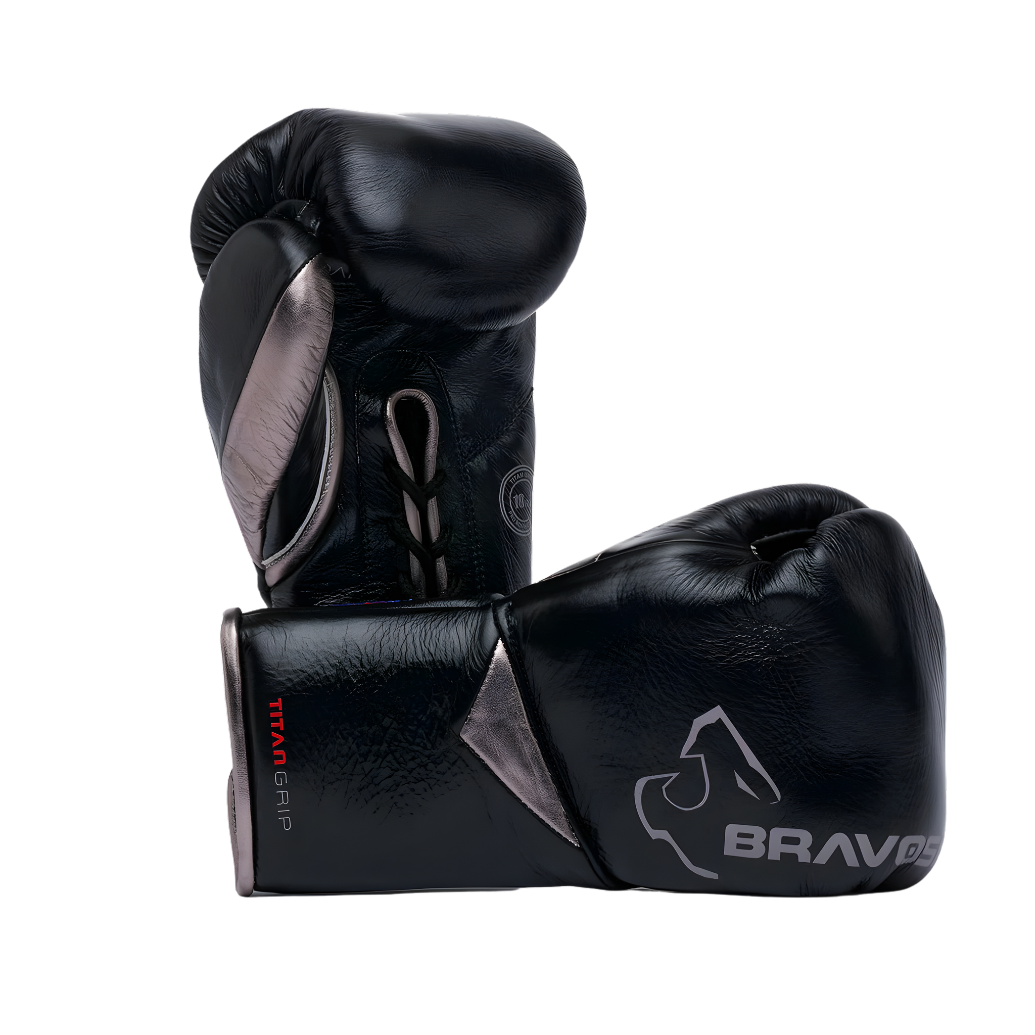 Titan Grip BBBOFC Horsehair Professional Fight Gloves